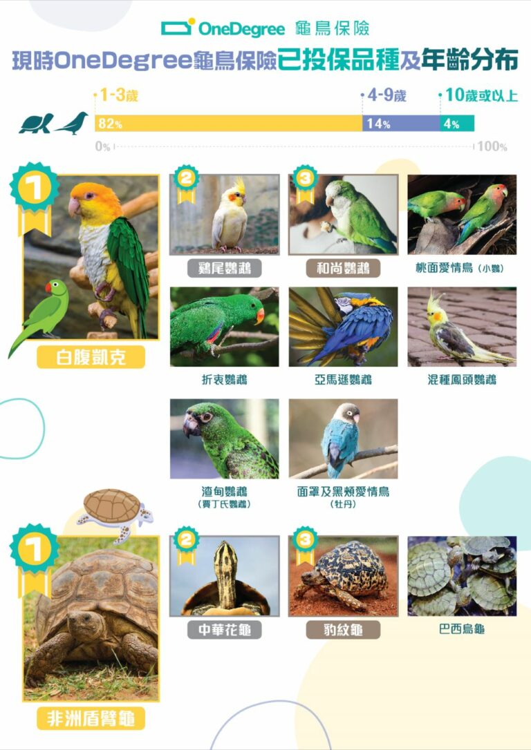 OneDegree推全港首創龜鳥保險