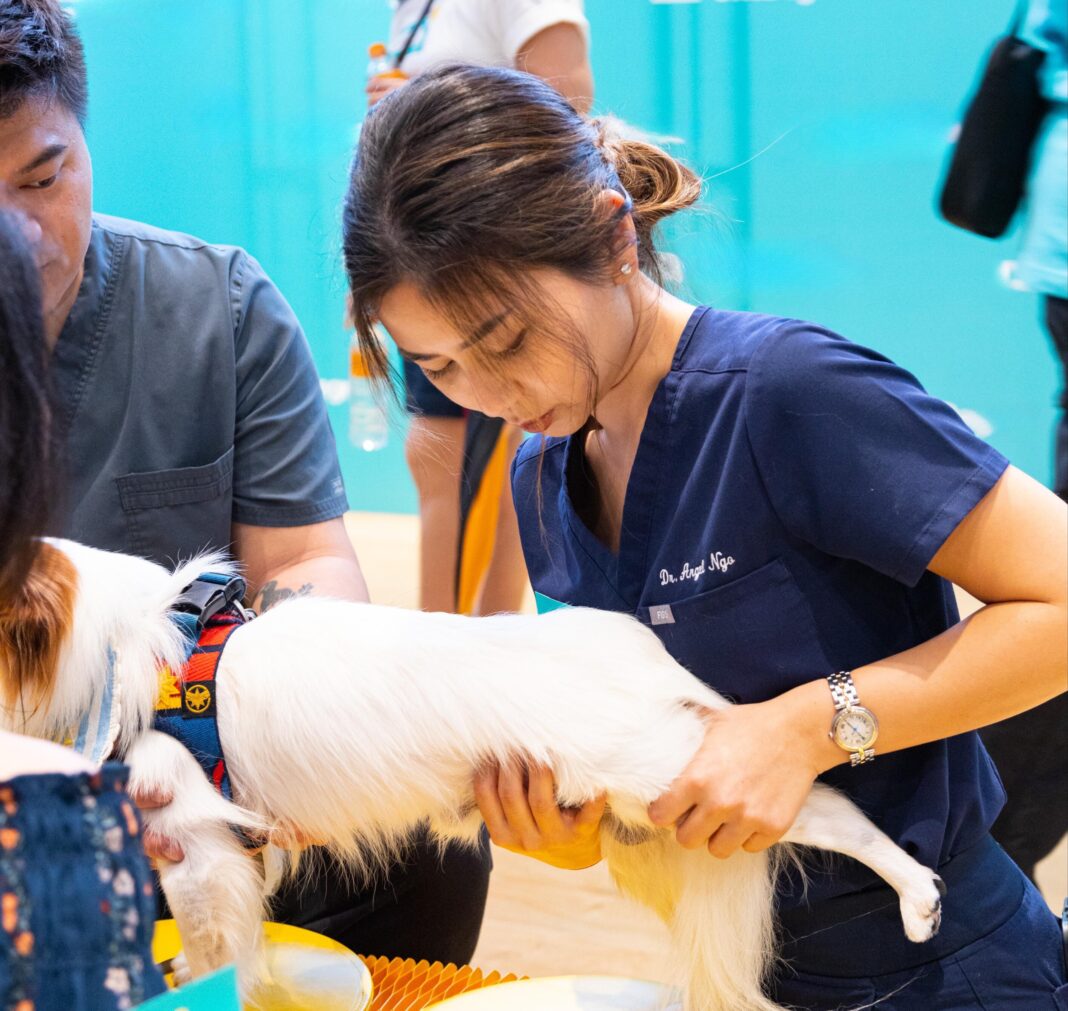 寵物過肥會帶來疾病，甚至縮短寵物壽命，寵物糧食品牌Royal Canin 呼籲「奴才」應先了解「主子」的基因特性，培養正確餵食及運動習慣，全方位幫助寵物維持健康體重，確保寵物健康快樂。