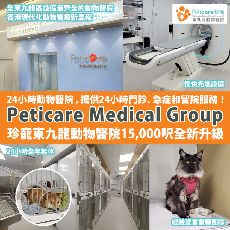 Peticare Medical Group 珍寵東九龍動物醫院