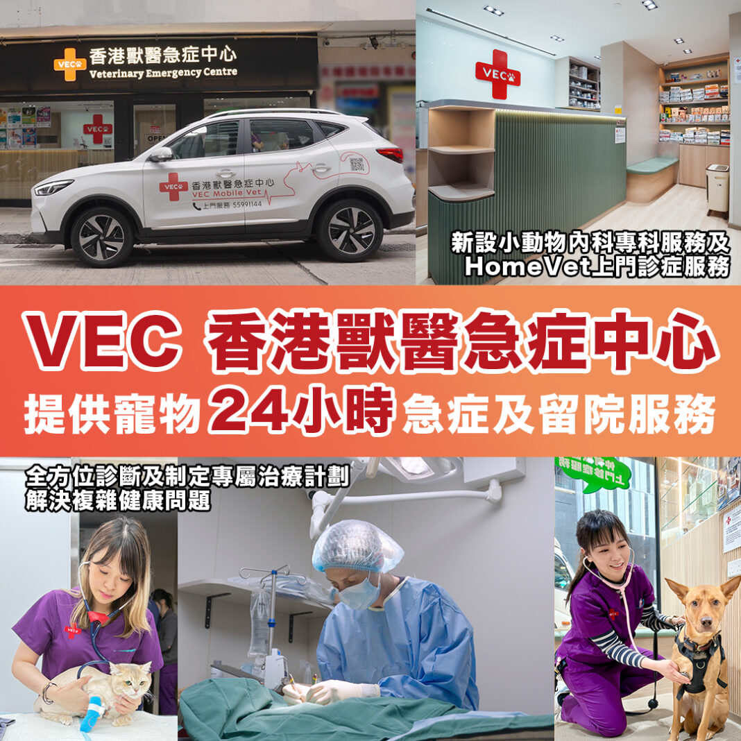 VEC香港獸醫急症中心新設小動物內科專科服務及HomeVet上門診症服務 提供寵物24小時急症及留院服務 全方位診斷及制定專屬治療計劃 解決複雜健康問題
