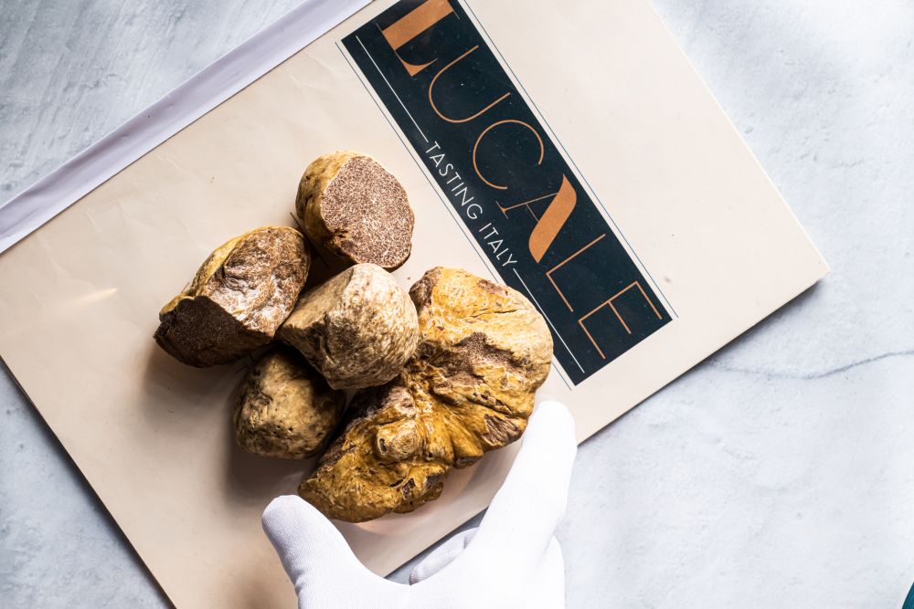 LucAle 白松露盛宴賀聖誕 迎接新一年